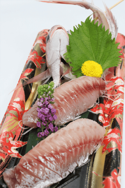 Fresh Kodai Sashimi (小鯛) - Himawari Shoten