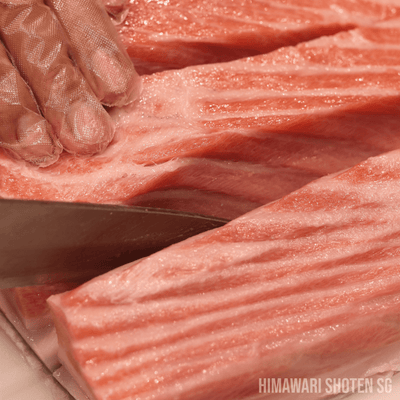 Fresh Otoro (Premium Bluefin Tuna Belly Sashimi) - Himawari Shoten